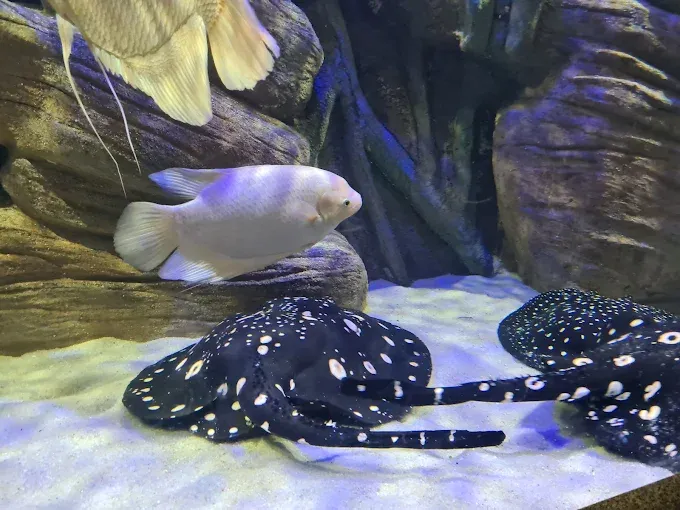 Oceanarium Międzyzdroje